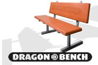 Dragon Bench